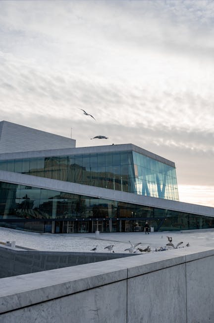 Inspeção e manutenção de telhado
